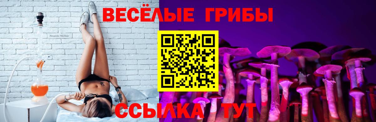 Галлюциногенные грибы Magic Shrooms  Галлюциногенные грибы мухоморы  Вход с VPN  Джанкой 